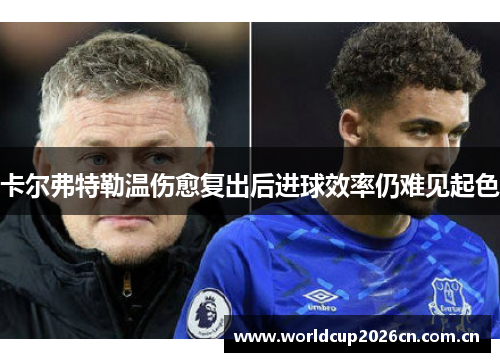 卡尔弗特勒温伤愈复出后进球效率仍难见起色 卡尔弗特勒温伤愈复出后进球效率仍难见起色
